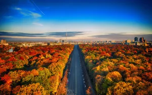 Follow The Autumn Road In Berlin Wallpaper