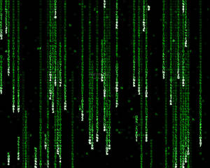 Follow The White Rabbit And Uncover The Secrets Of The Matrix Wallpaper