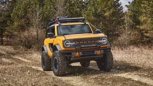 Ford Bronco Bright Yellow Paint Wallpaper