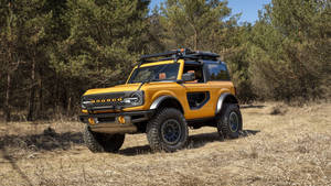 Ford Bronco Solid Bright Yellow Paint Wallpaper