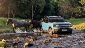 Ford Bronco With Two Horses Wallpaper