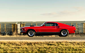 Ford Mustang 1969 Deep Red Wallpaper