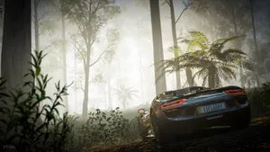 Forest Drive From Forza Horizon 3 Wallpaper