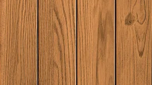 Forest Sunset Landscape Wallpaper