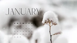 Forget What Has Passed And Welcome The New Beginnings In January. Wallpaper