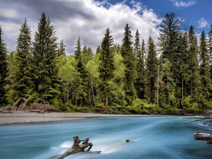 Forks Washington Blue River Wallpaper