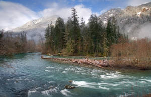 Forks Washington Forest And Mountain Wallpaper