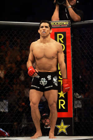 Frank Shamrock Strikeforce Title Challenger Wallpaper