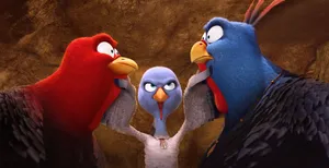 Free Birds At War Wallpaper