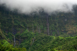 French Polynesia Mountain Wallpaper