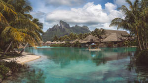 French Polynesia Tourist Destination Wallpaper