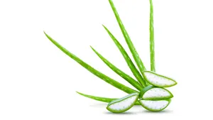 Fresh Aloe Vera Leaves And Slices Wallpaper