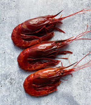 Fresh Carabineros Prawnson Grey Wallpaper