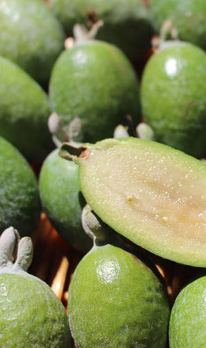 Fresh Feijoa Sellowiana Arranged Beautifully Wallpaper