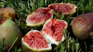 Fresh Figs Scattered On A Lush Green Grass Wallpaper