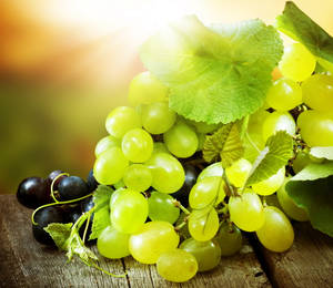 Fresh Green Grapes Macro Photography Wallpaper