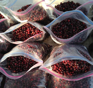 Fresh Huckleberriesin Bags Wallpaper