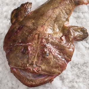 Fresh Monkfish On Ice Wallpaper