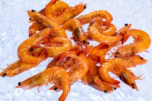 Fresh Prawns On Ice.jpg Wallpaper