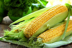 Fresh Sweet Corns Wallpaper