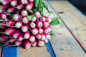 Freshly Harvested Bundle Of Long Root Radishes Wallpaper