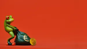 Frog With Bag Of Nft Coins Wallpaper