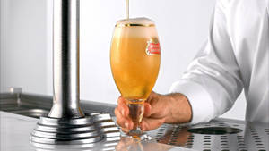 Full Chalice Of Stella Artois Wallpaper