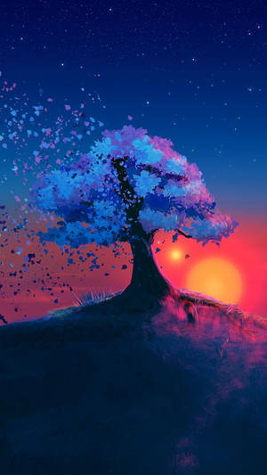 Full Hd Tablet Sunset Tree Wallpaper