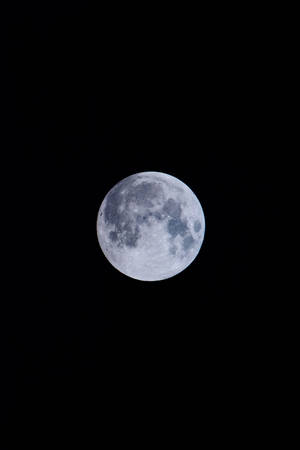 Full Moon Lighting Up The Night Sky. Wallpaper