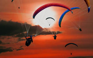 Fun Parasailing Group Wallpaper