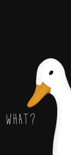 Funny Goose Saying What Wallpaper