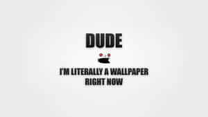 Funny Wallpaper Quote Dude Wallpaper