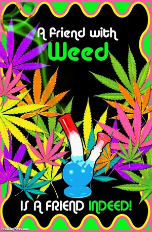 Funny Weed Friend Quote Wallpaper