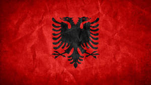 Gadsden Country Flag Albania Wallpaper