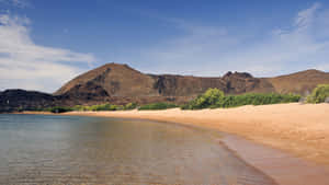 Galapagos_ Beach_and_ Volcanic_ Landscape Wallpaper