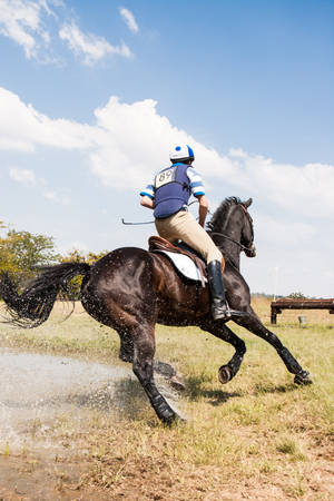 Galloping Horse Iphone Wallpaper