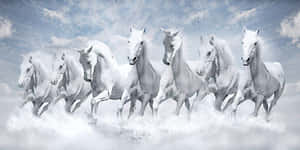 Galloping_ White_ Horses_ Clouds.jpg Wallpaper