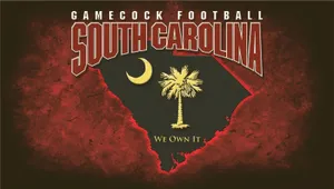 Gamecock Football South Carolina Wallpaper