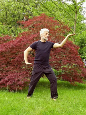 Garden Tai Chi Wallpaper