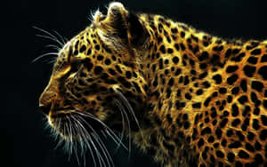 Gazing Wildlife Cheetah In Its Habitat Wallpaper