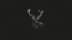 Geometric Deer Cute Dark Girly Wallpaper