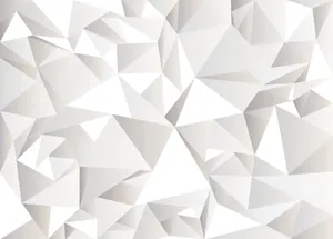 Geometric White Color Wallpaper