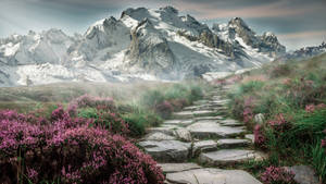 Germany Snow Mountain Crest Wallpaper