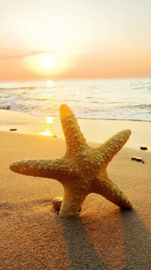 Get Connected With Beautiful Natural Surroundings Wallpaper