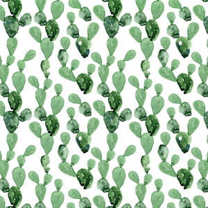 Get Creative With Cactus Wallpaper