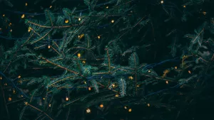 Get Into The Christmas Spirit With This Enchanting Wallpaper! Wallpaper