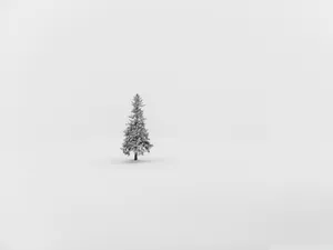 Get Into The Christmas Spirit With This Minimalist Desktop Wallpaper. Wallpaper