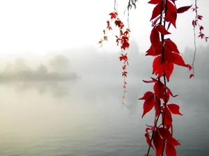 Get Organized With A Chic Desktop Wallpaper