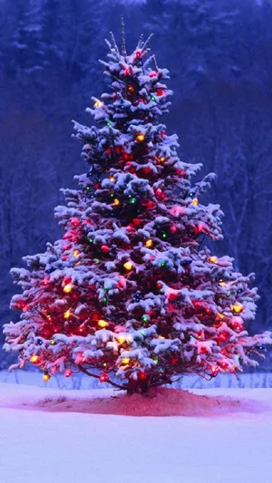 Get Ready For The Holidays With The Latest Iphone Model Wallpaper