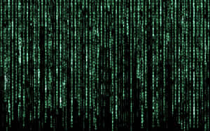 Get The Matrix Look With Iphone Wallpaper